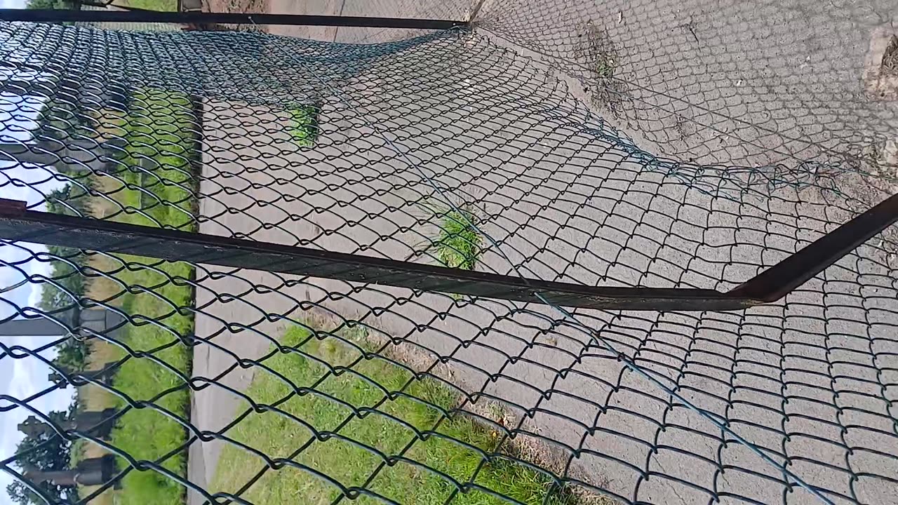 Shameless locals made a malicious entry on FIXMYSTREET.