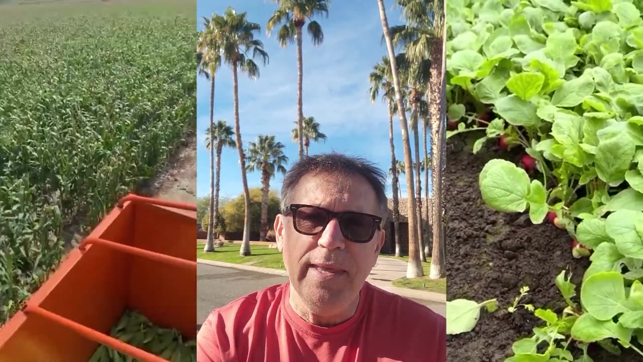 IMMIGRANT to IMMIGRANT