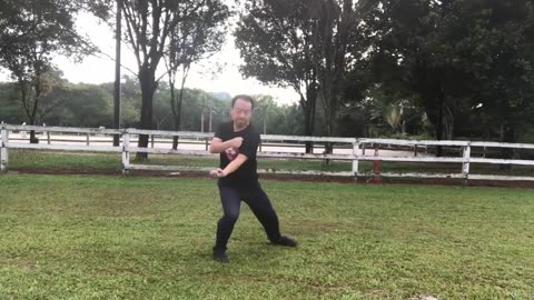 Aerobic Tai Chi Workout-023-Splitting Punch (YAO) Splitting Pose