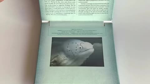 Ocean: A Photicular Book – Immersive 3D Underwater Adventure