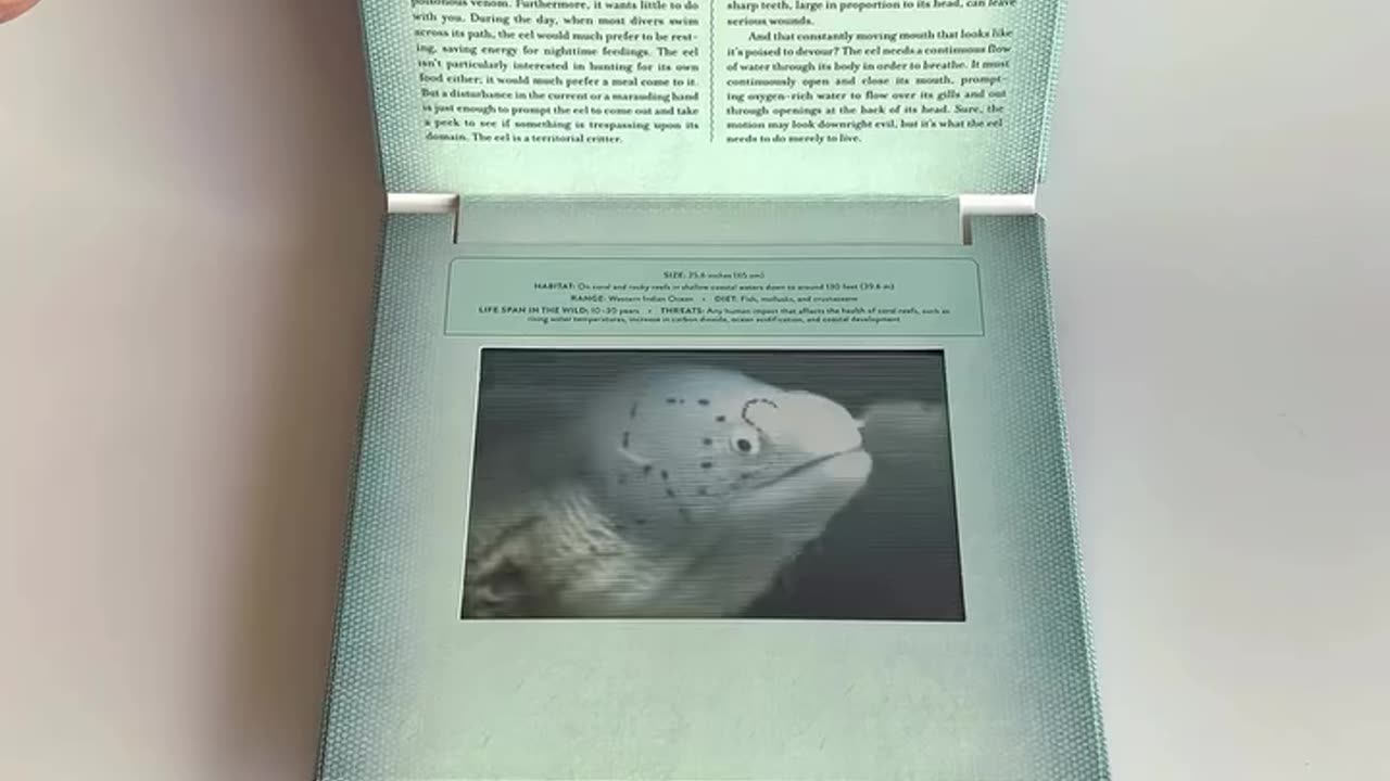 Ocean: A Photicular Book – Immersive 3D Underwater Adventure