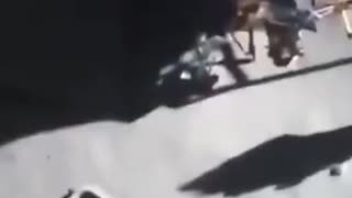 “moon landing”
