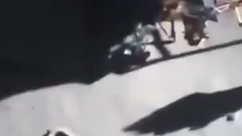 “moon landing”