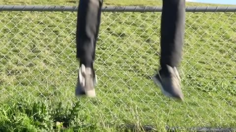 How animals get over a fence!