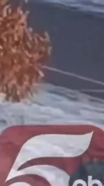 The Minnesota ICE Shooting of Renee Good CLEARLY Show Who is at Fault