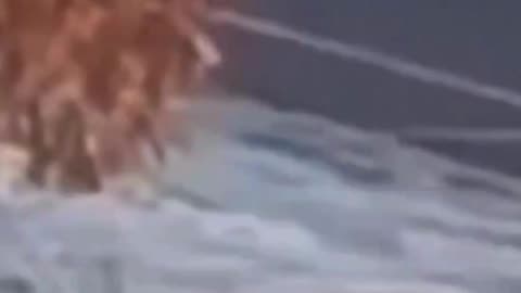 The Minnesota ICE Shooting of Renee Good CLEARLY Show Who is at Fault