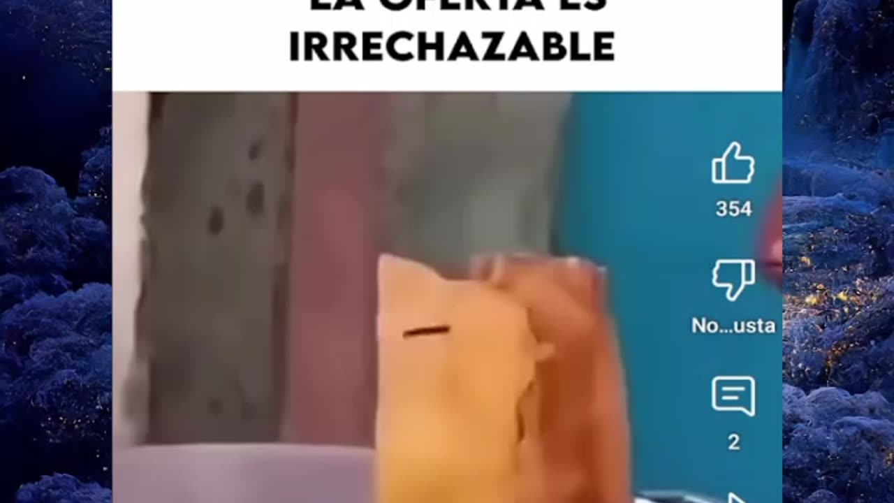 Just shorts videos 😜!!!!!!!