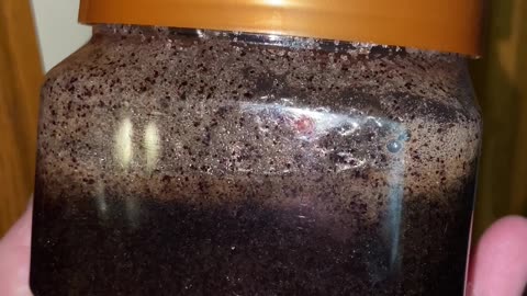 Homemade Body Scrub