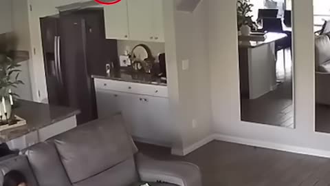 Even Scientists Can’t Explain This One 🧪