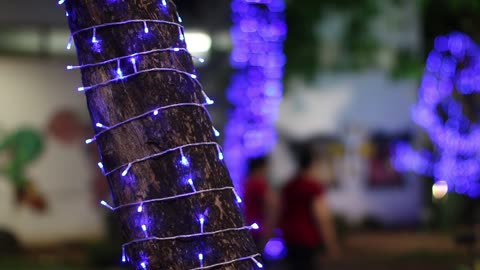 Merry Christmas and a Happy New Year