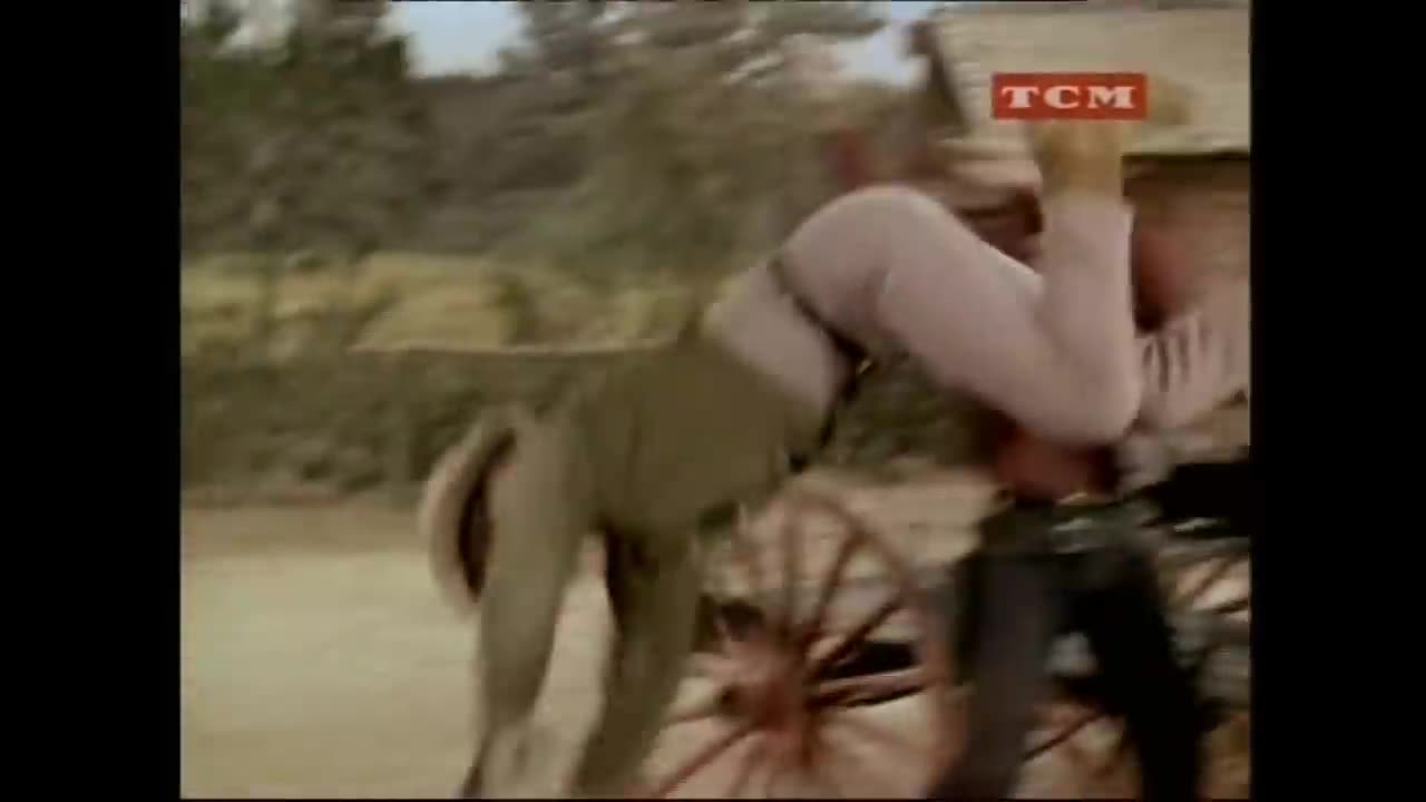 BONANZA - Estrela Cruzada