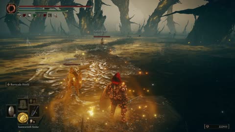 Elden Ring DLC | Scadutree Avatar boss fight w/2 cooperators on NG