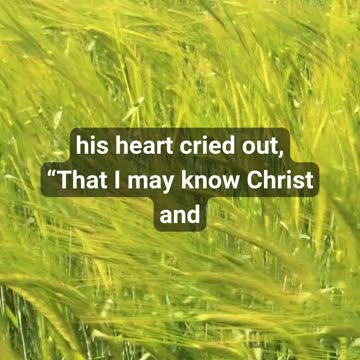 Are You a Fool for Christ? Powerful Prayer for Bold Faith