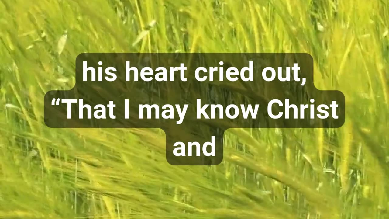 Are You a Fool for Christ? Powerful Prayer for Bold Faith