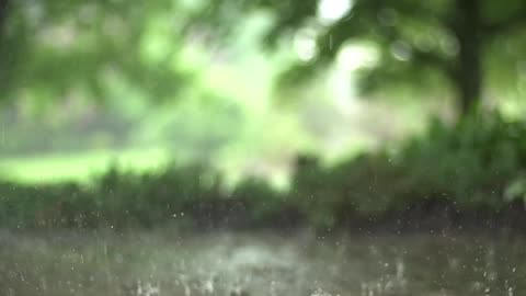 Rainy day