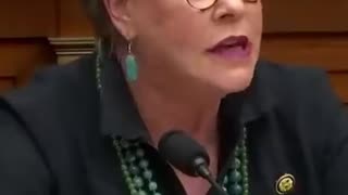 Hageman Unmasks Plaskett's Epstein Connections