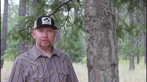 Hunting Ballistics: 30.06 Hornady Outfitter 180gr CX