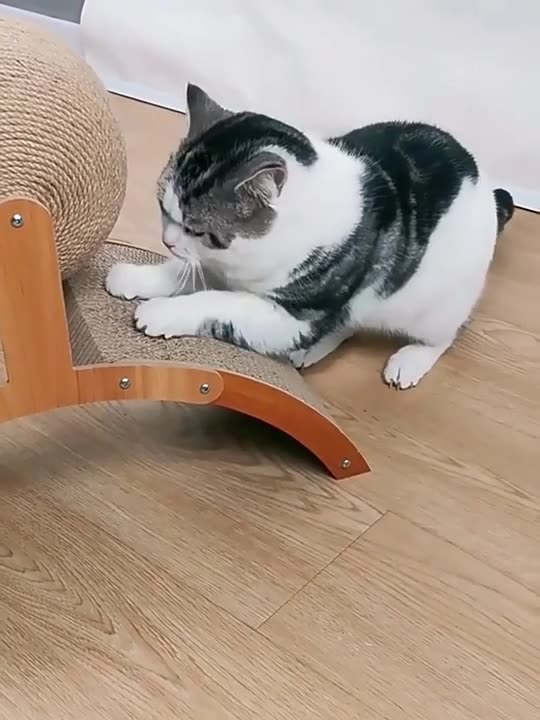 Wooden Cat Scratcher Sisal Cat Scratching Ball Wear-Resistant Grinding Paw Toy