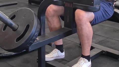 Seated Calf Press / Gêmeos Sentado