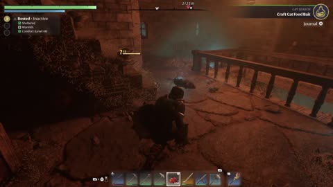 Pet Taming part 1
