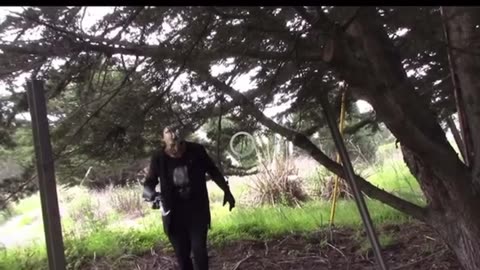 mRNA Gene Therapy Vaccinated = Homoborgenesis