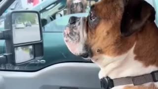 😂🚗 You Won't Believe This Epic Road Rage! | FunFM