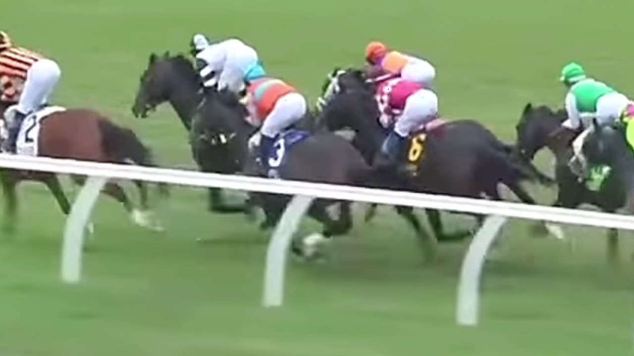 Troubleshooting 🐴👾