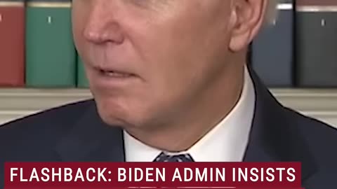 FLASHBACK: Democrats attempt to downplay Biden-Hur report #shorts #us #politics #news #foxnews