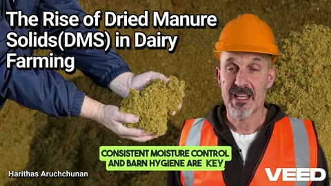 Turning Waste into Comfort and Profit:The Rise of Dried Manure Solids in Dairy Farming