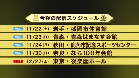 MARIGOLD BATTLE HEART 2025 11-17-25