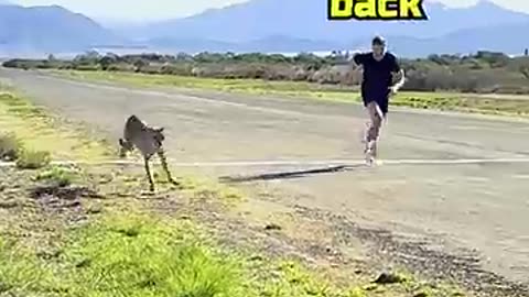 Jet Engine vs Human for $10k #shortvideo #youtubeshorts"Mr