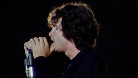 The WASP (Texas Radio and the Big Beat)...Hello, I Love You - The Doors (live)