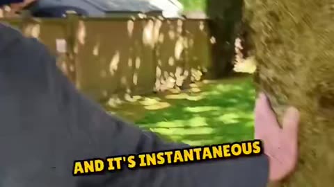 Stay connected, get out there and find nature even if it's for a short time. ⚡️