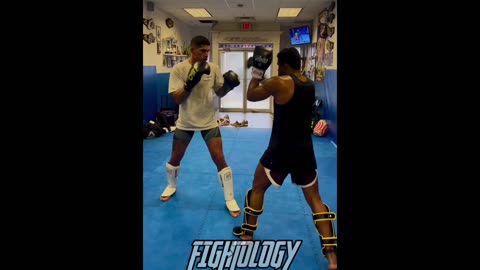 Alex Pereira Training