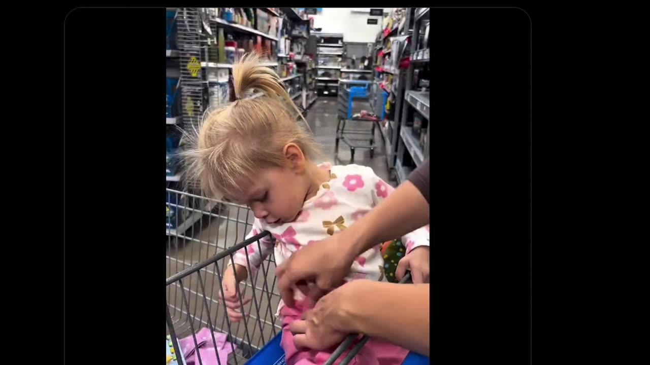 WYPIPO, Amirite?? • by DP • 11-04-2025