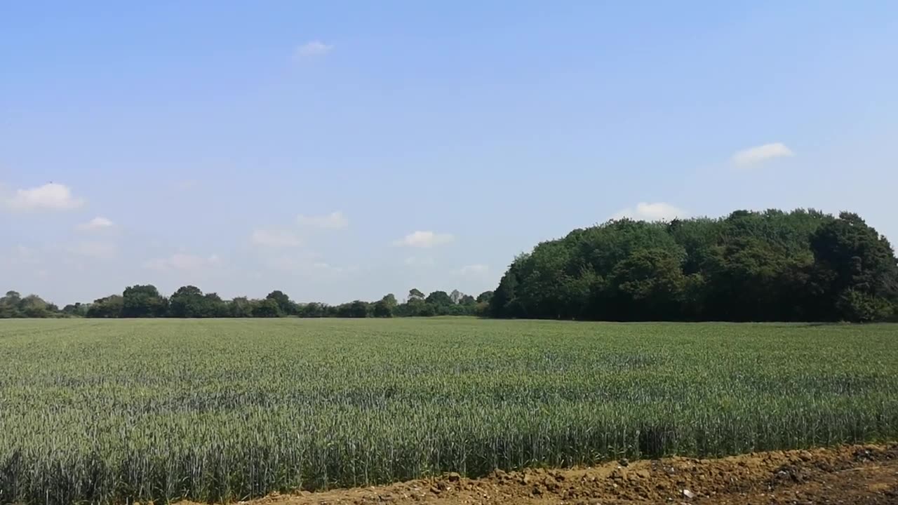 WILL 666 You / Escape In Time ? Get Out Alive 90 Seconds to Midnight 1