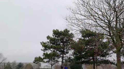 « La force ne vient pas seulement des muscles, mais d’une volonté qui ne plie jamais. »