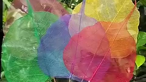 Amazing: How To Make Skeleton Leave | Colourful Skeleton Leaves #shorts