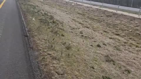 NOT A GOOD AFTERNOON AMERICA #ourtruckinglife #reallifetruckers #truckdrivers #truck #atruckerslife