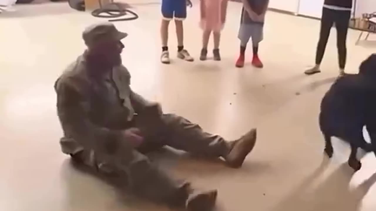 Animals emotions to its owner