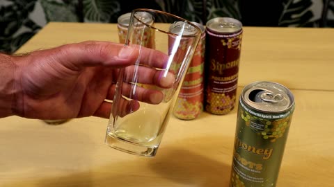Siponey Drink Alternative Mocktail Taste Test Review