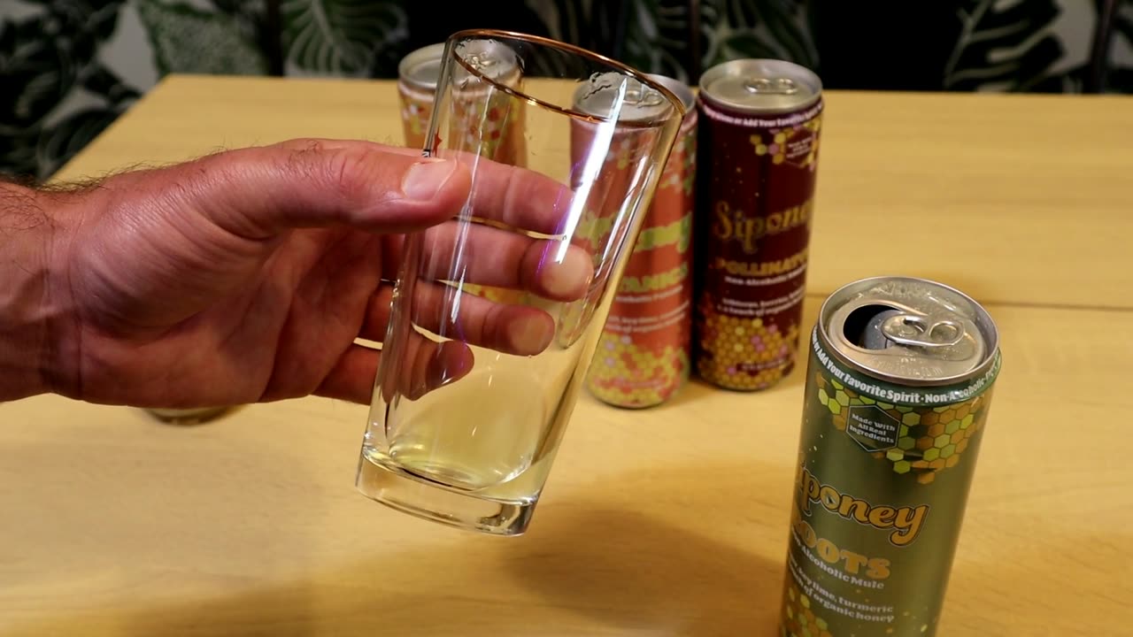 Siponey Drink Alternative Mocktail Taste Test Review