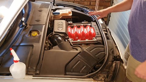 Keep rodents out of your engine bay!