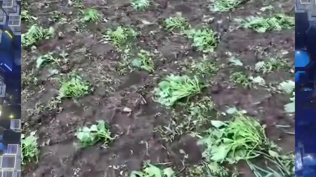 PŘÍRODNÍ KATASTROFY NA PLANETĚ ZA 7.-8.6.2025