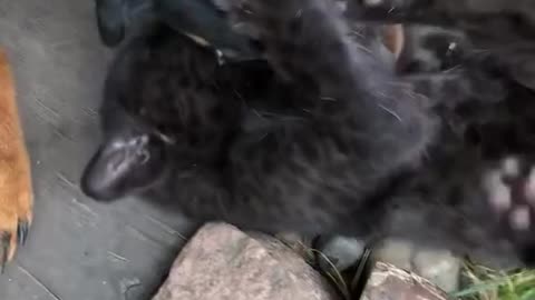 Best friends