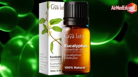 Eucalyptus Essential Oil A Natural Ally for Adult Health