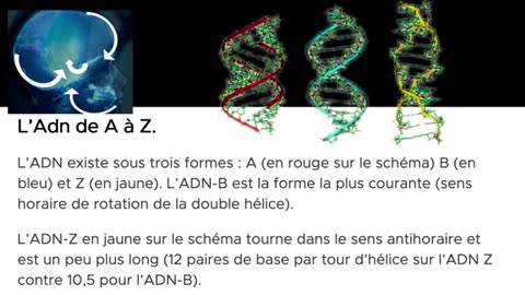 De l'ADN satanique à l'émergence de la Lumière de l'Esprit et du Sang (témoignage)