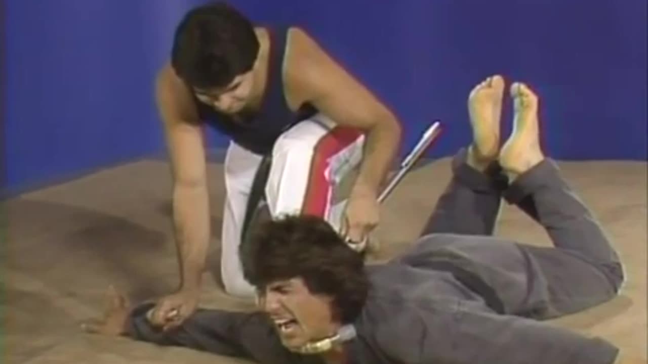 Hapkido Cane Techniques