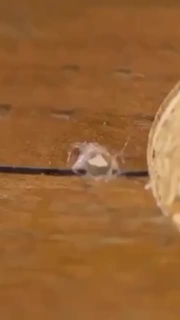 What to do if the thread is loose.