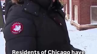 Women in Chicago are now walking children of illegal immigrants to and from school,